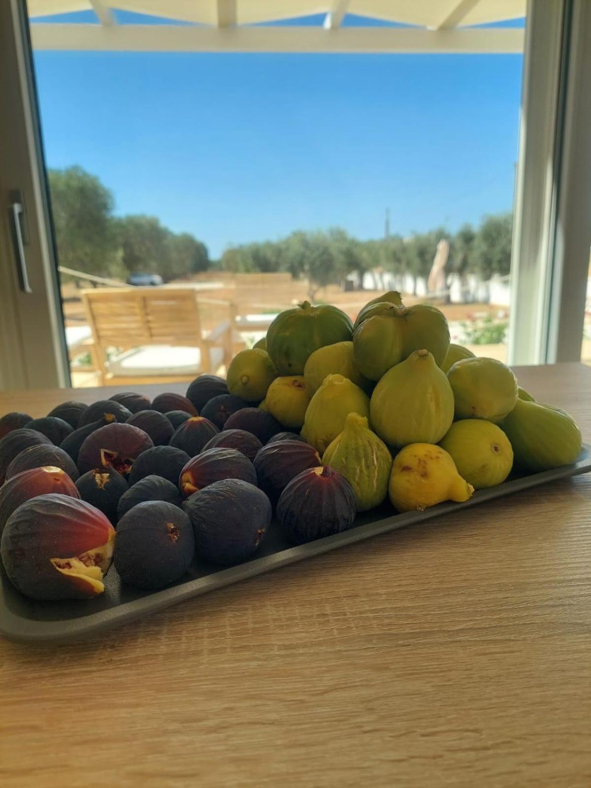Foglie D'ulivo Bed and breakfast *